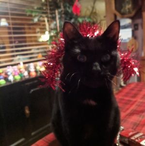 Meet your Posher, Hope